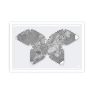 Butterfly Projection World Map