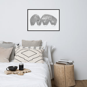 Good Homolosine Projection World Map