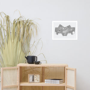 Bat Projection World Map