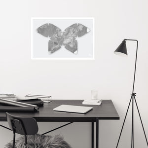 Butterfly Projection World Map