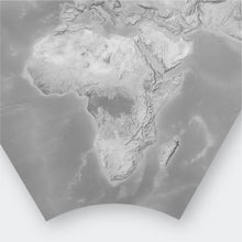 Load image into Gallery viewer, Bat Projection World Map
